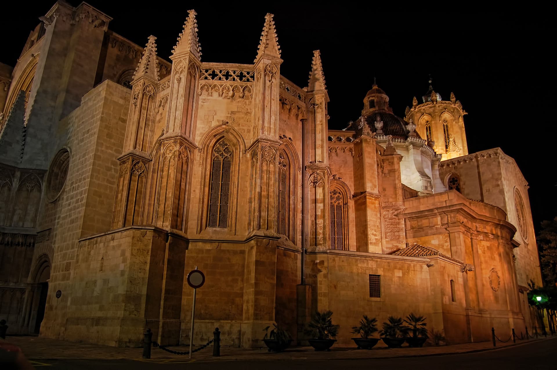 Vida Nocturna