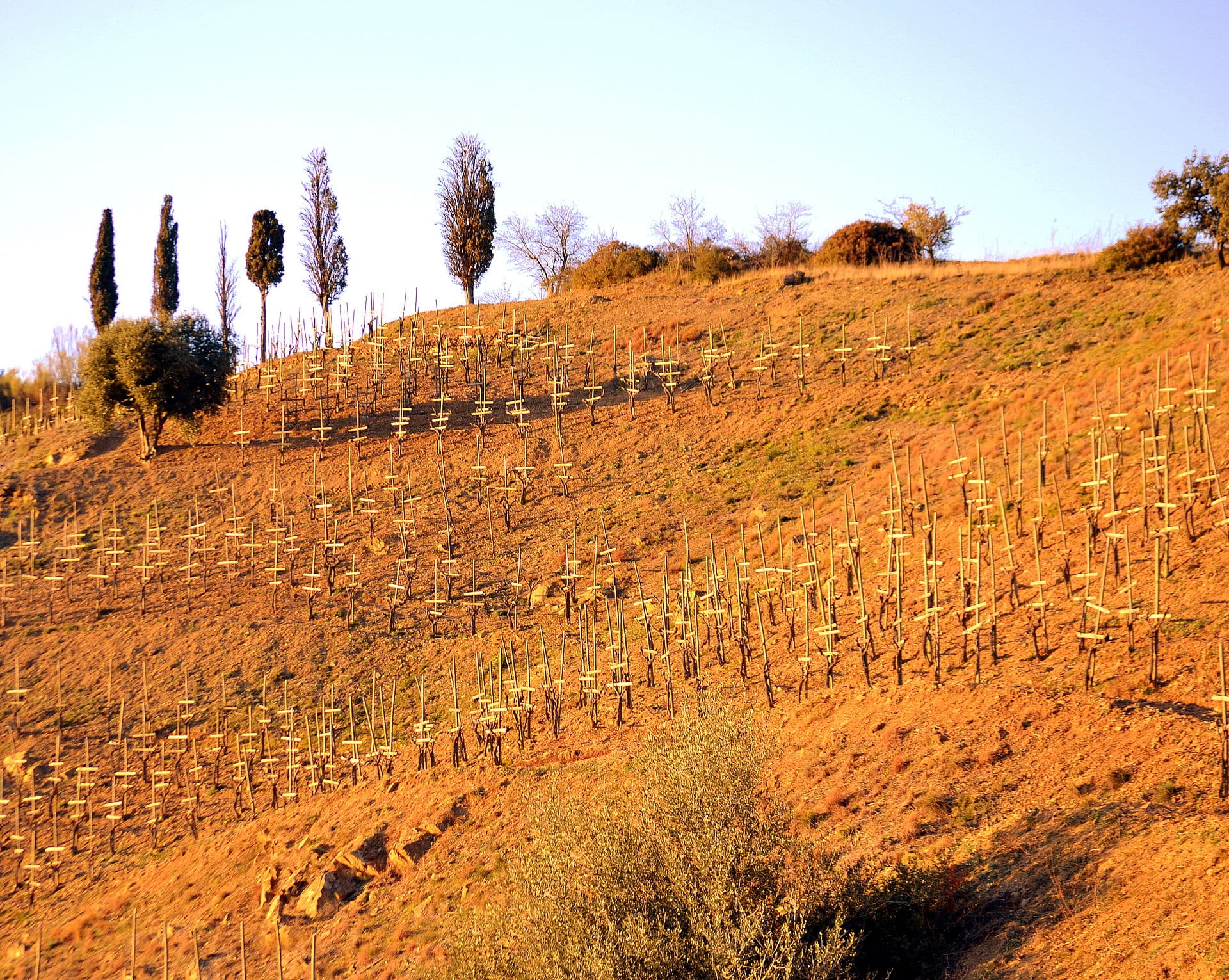 El Priorat